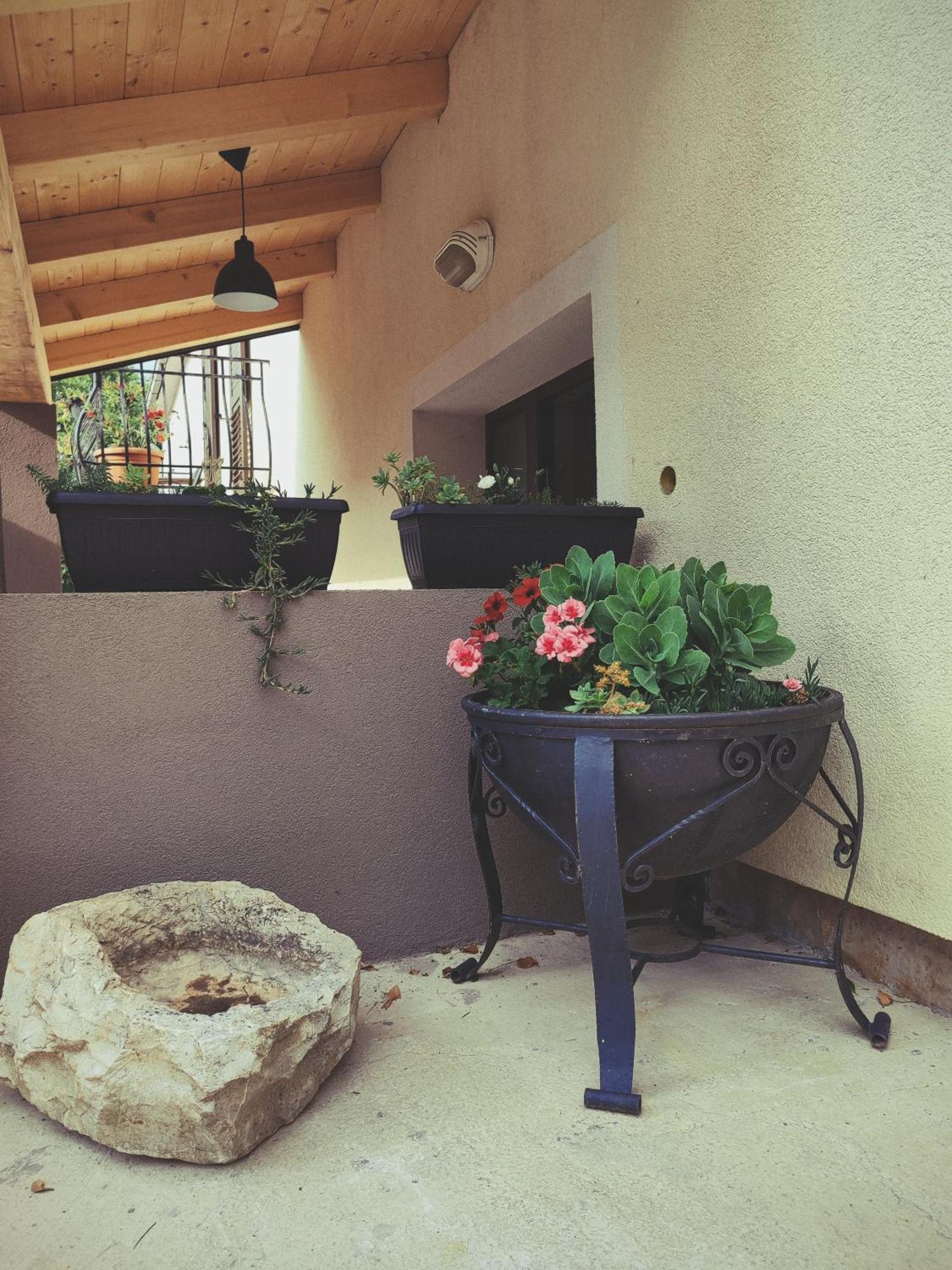 Villa Judita Rovinj Bagian luar foto
